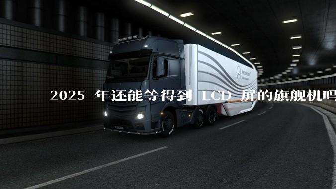 2025 年还能等得到 LCD 屏的旗舰机吗？