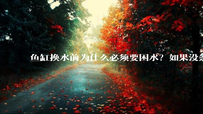 鱼缸换水前为什么必须要困水？如果没条件困水怎么办？