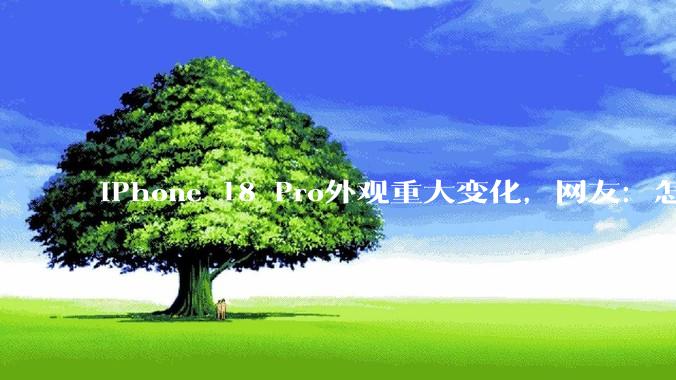 iPhone 18 Pro外观重大变化，网友：怎么越来越像安卓了？_系列_芯片_内存