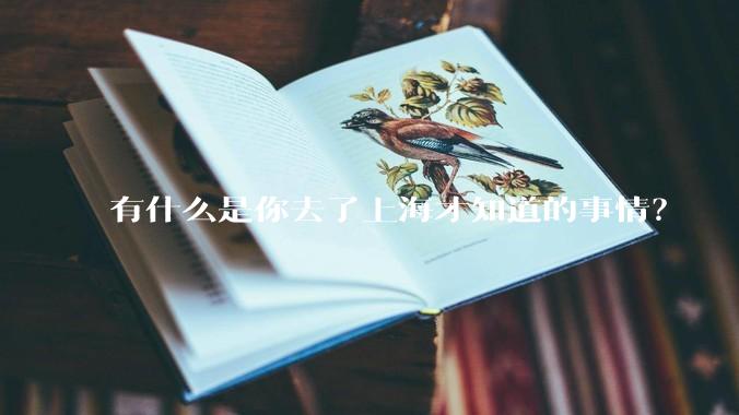 有什么是你去了上海才知道的事情？