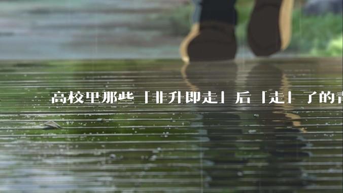 高校里那些「非升即走」后「走」了的青年教师都怎么样了？