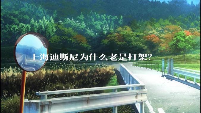 上海迪斯尼为什么老是打架？