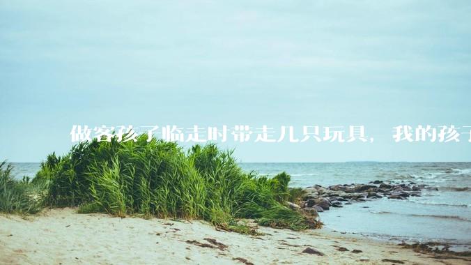 做客孩子临走时带走几只玩具，我的孩子抗拒并一直哭，要怎么开导？