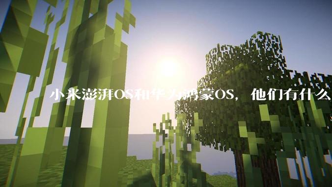小米澎湃OS和华为鸿蒙OS，他们有什么不一样，谁更有发展前途？